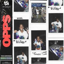 Cover of Opps