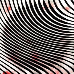 Cover of Negative 384 400