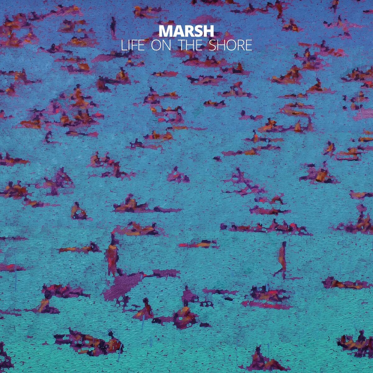 Album cover of Life On The Shore