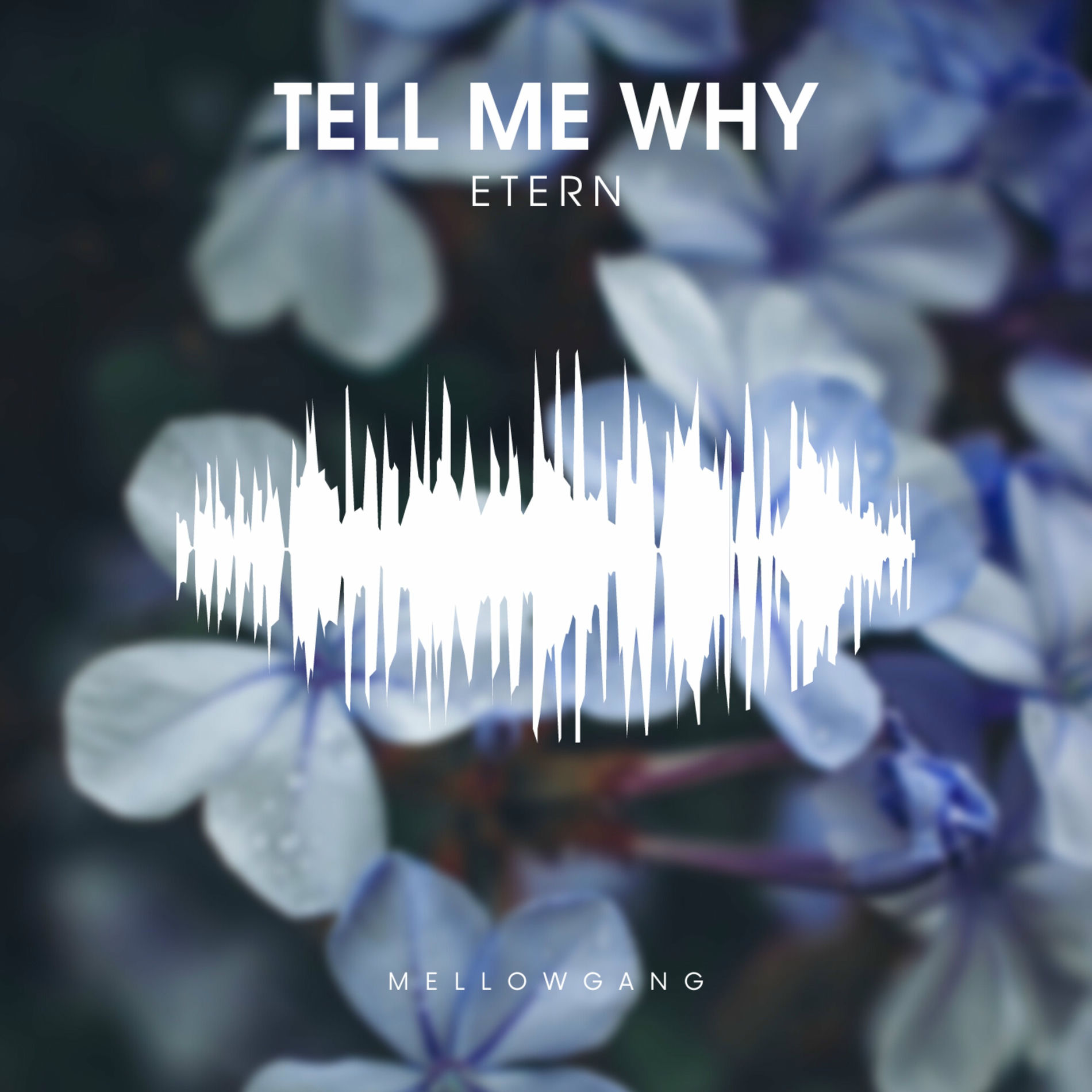 Album cover of Tell Me Why
