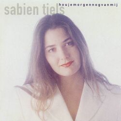 Cover of Houjemorgennnogvanmij