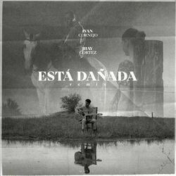 Cover of Está Dañada (Remix)