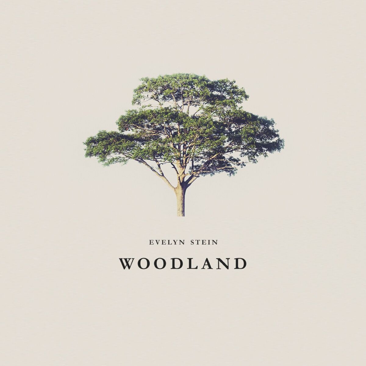 Album cover of Woodland