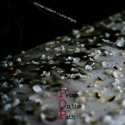 Petals on the Path