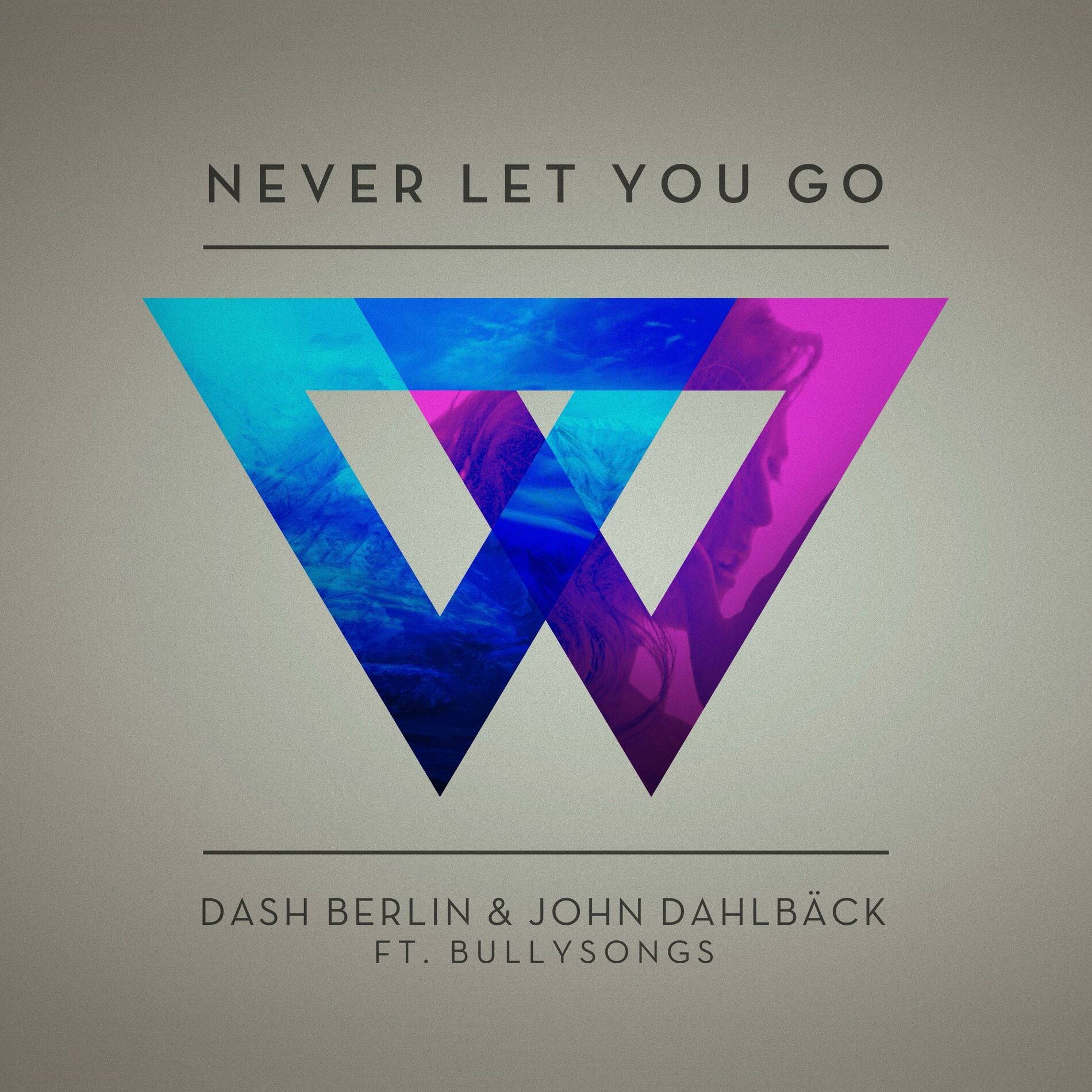 Album cover of Never Let You Go