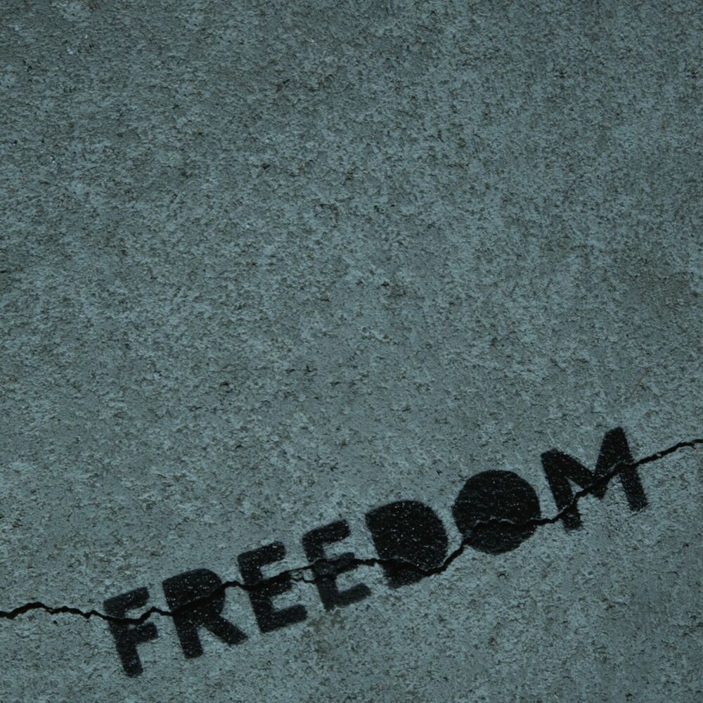 Picture of Freedom