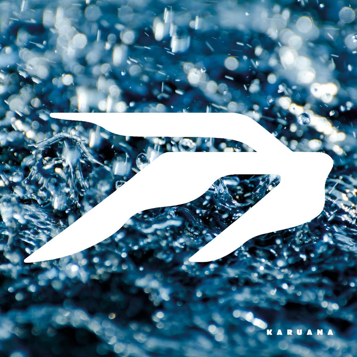 Album cover of Chuva De Verão