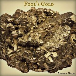 Cover of Fool's Gold