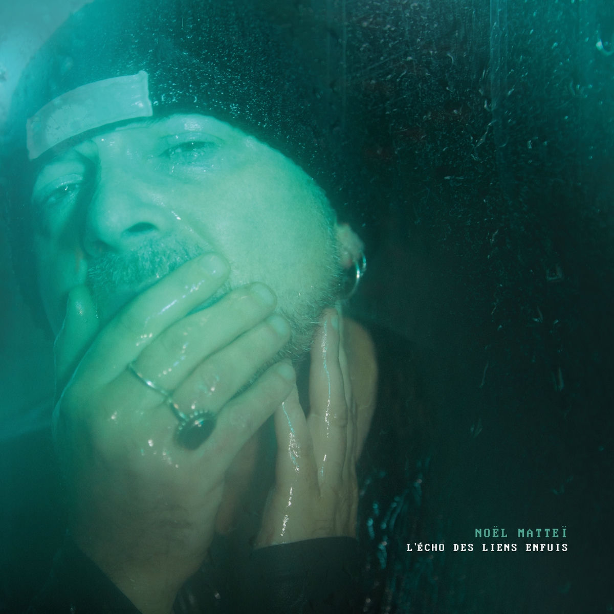 Album cover of L'écho des liens enfuis