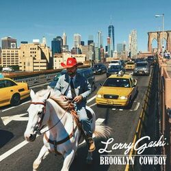 Cover of Brooklyn Cowboy