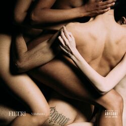 Cover of Filtri