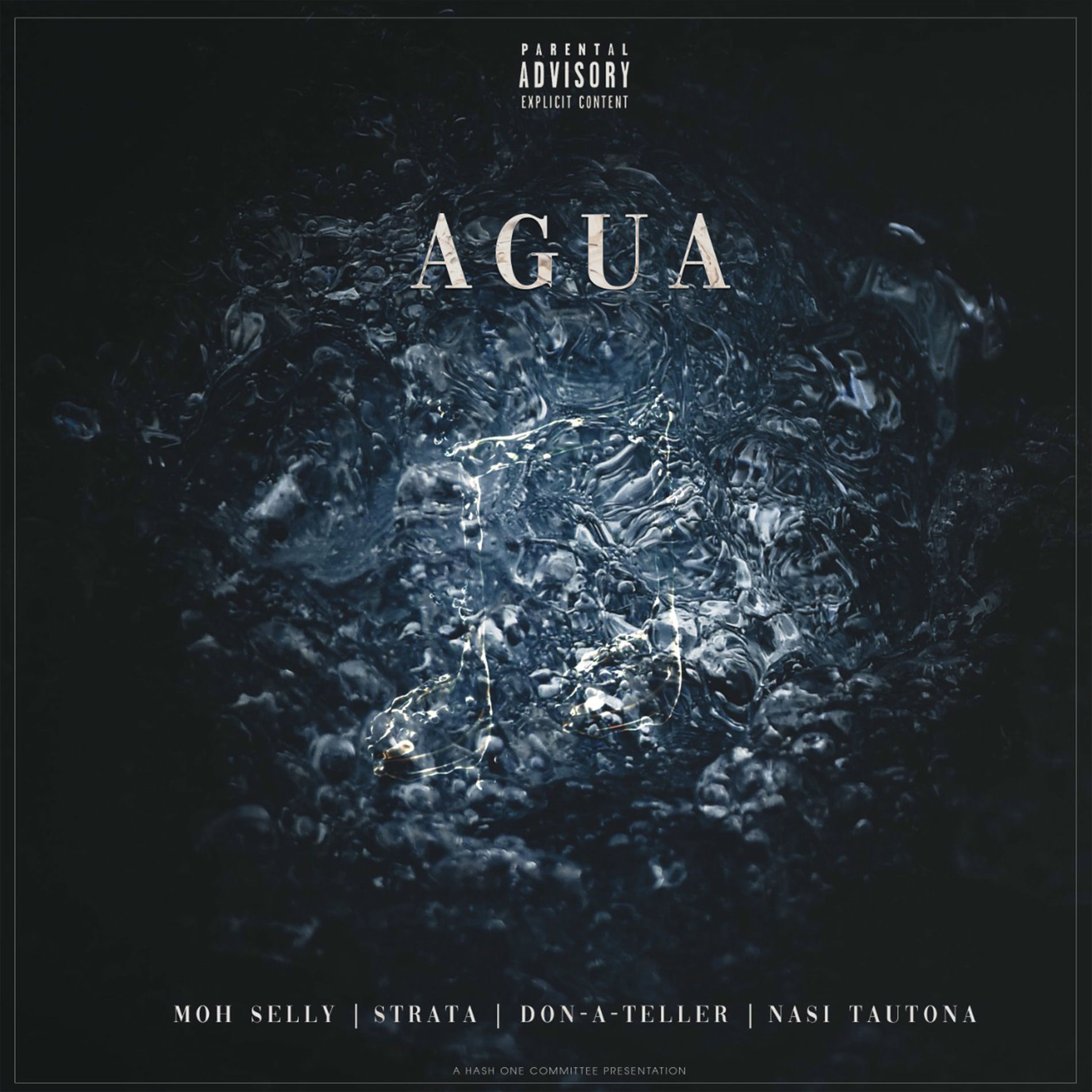 Album cover of Agua