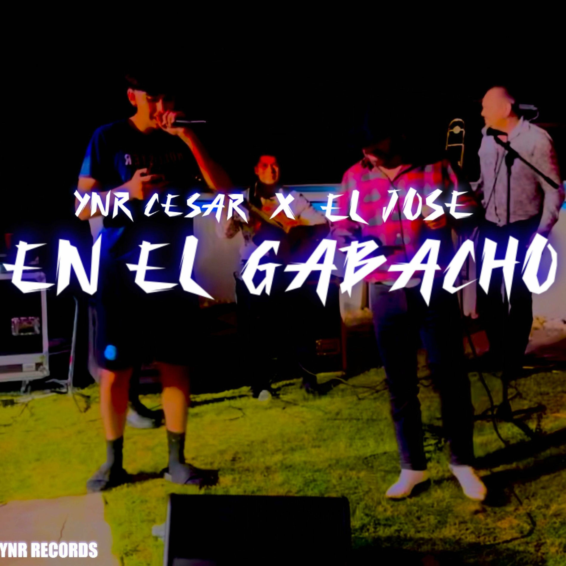 Album cover of En El Gabacho (feat. El Jose)