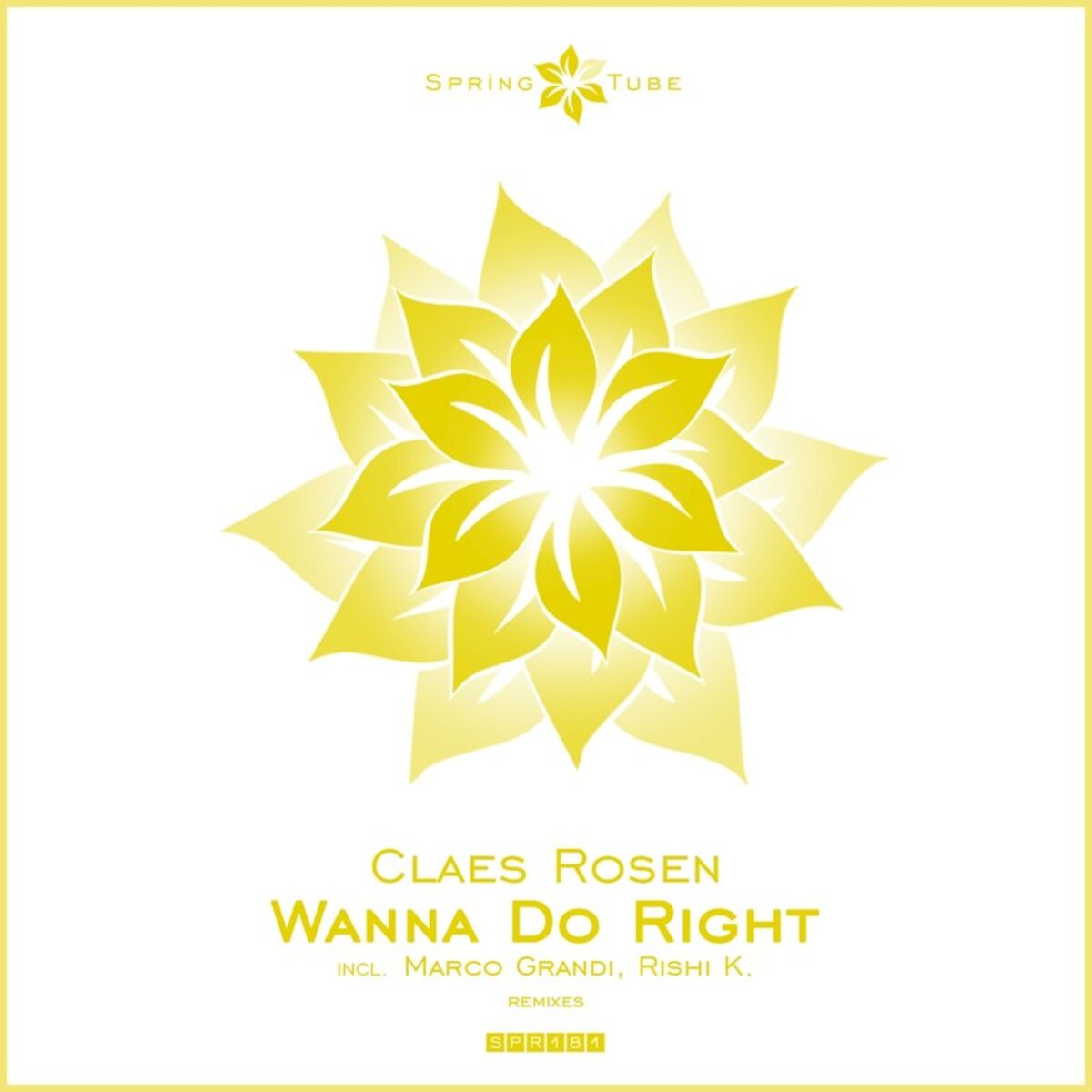 Album cover of Wanna Do Right