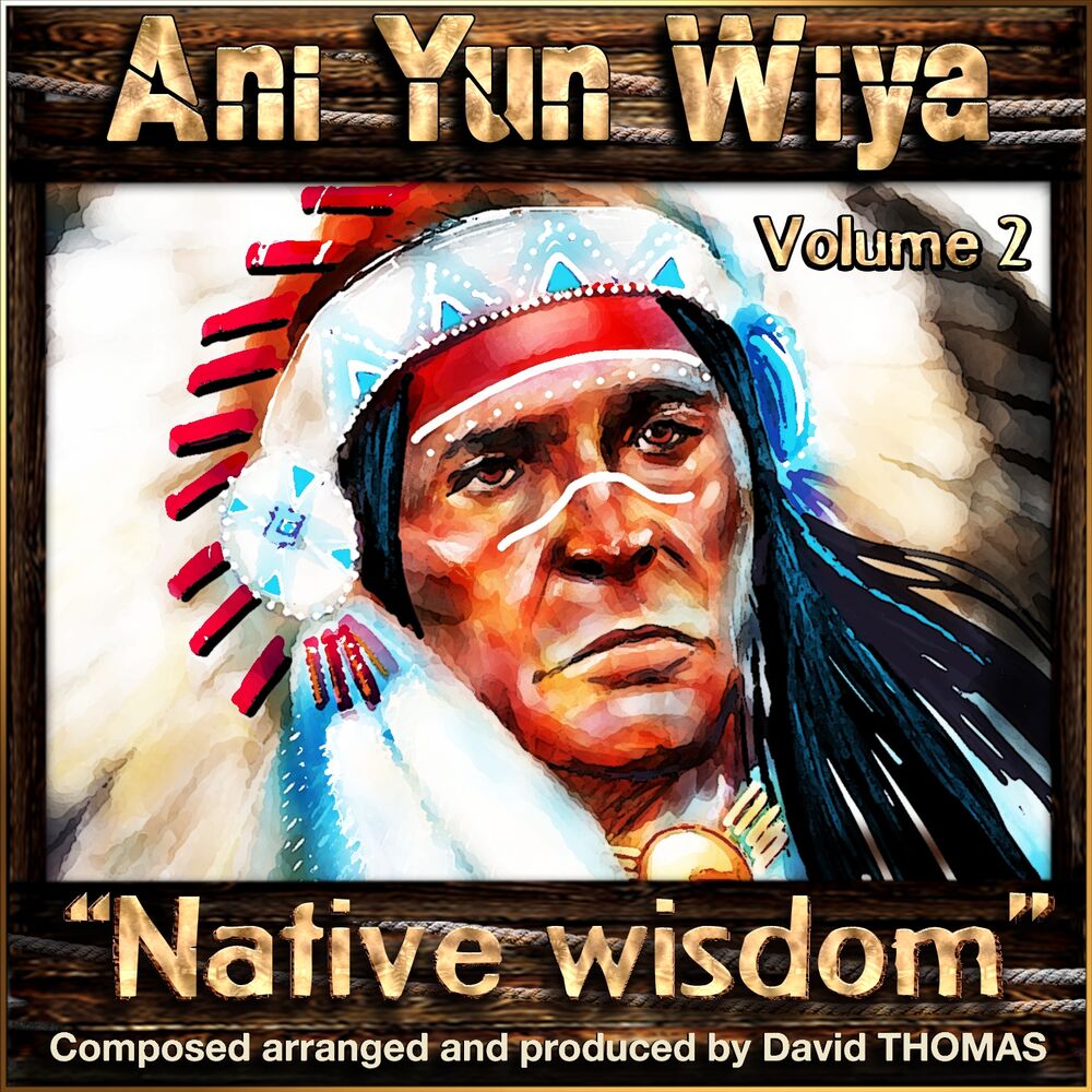 Picture of Ani Yun Wiya, Vol. 2 (Native Wisdom)