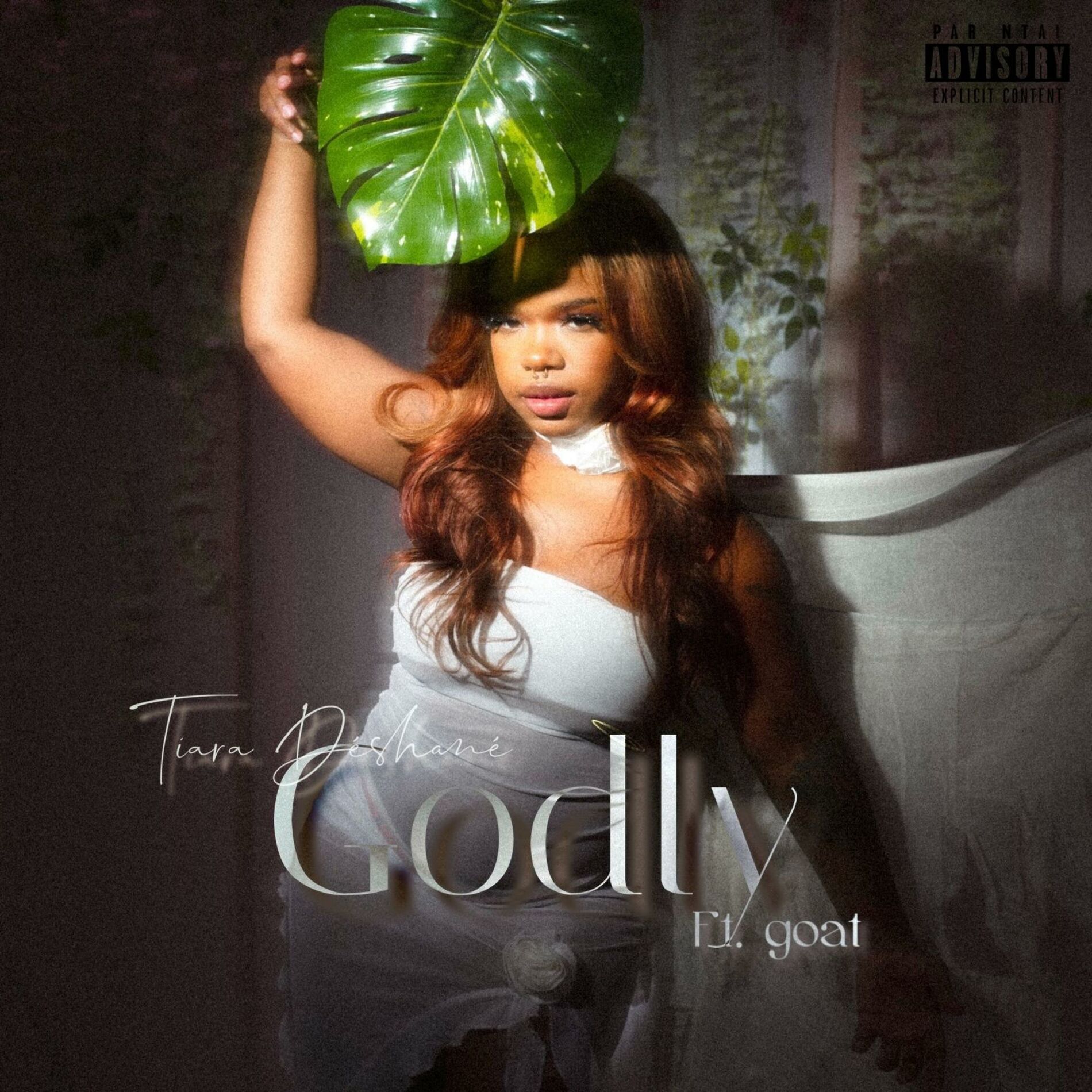 Album cover of Godly (feat. goat)