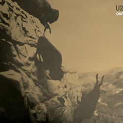 Cover of One