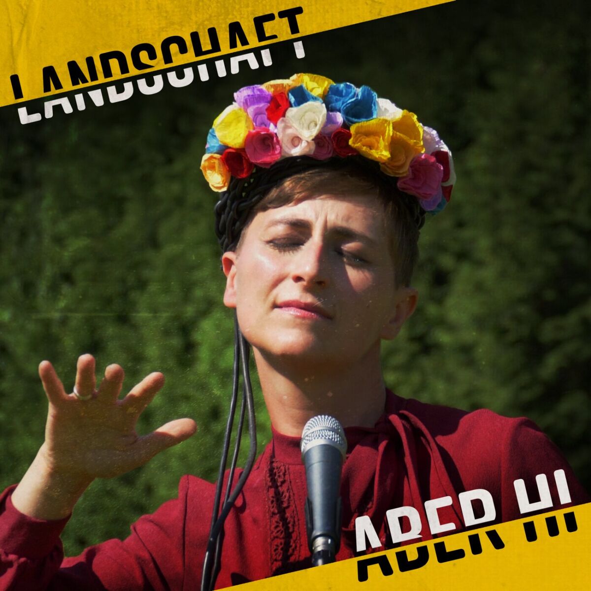Album cover of Aber hi!
