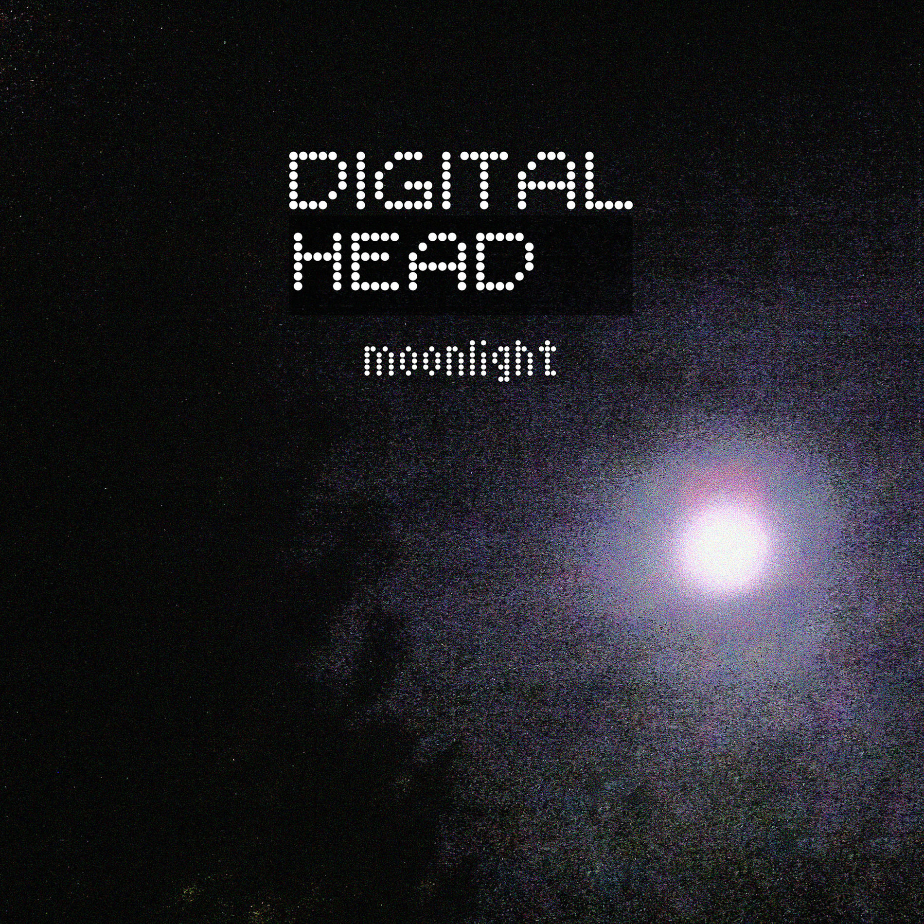 Album cover of Moonlight