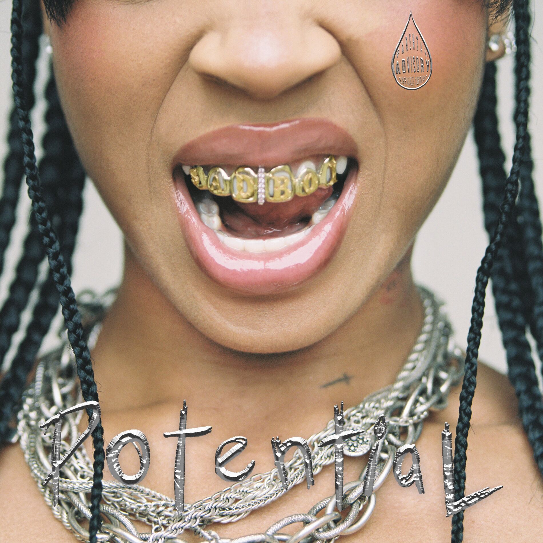 Album cover of Potential