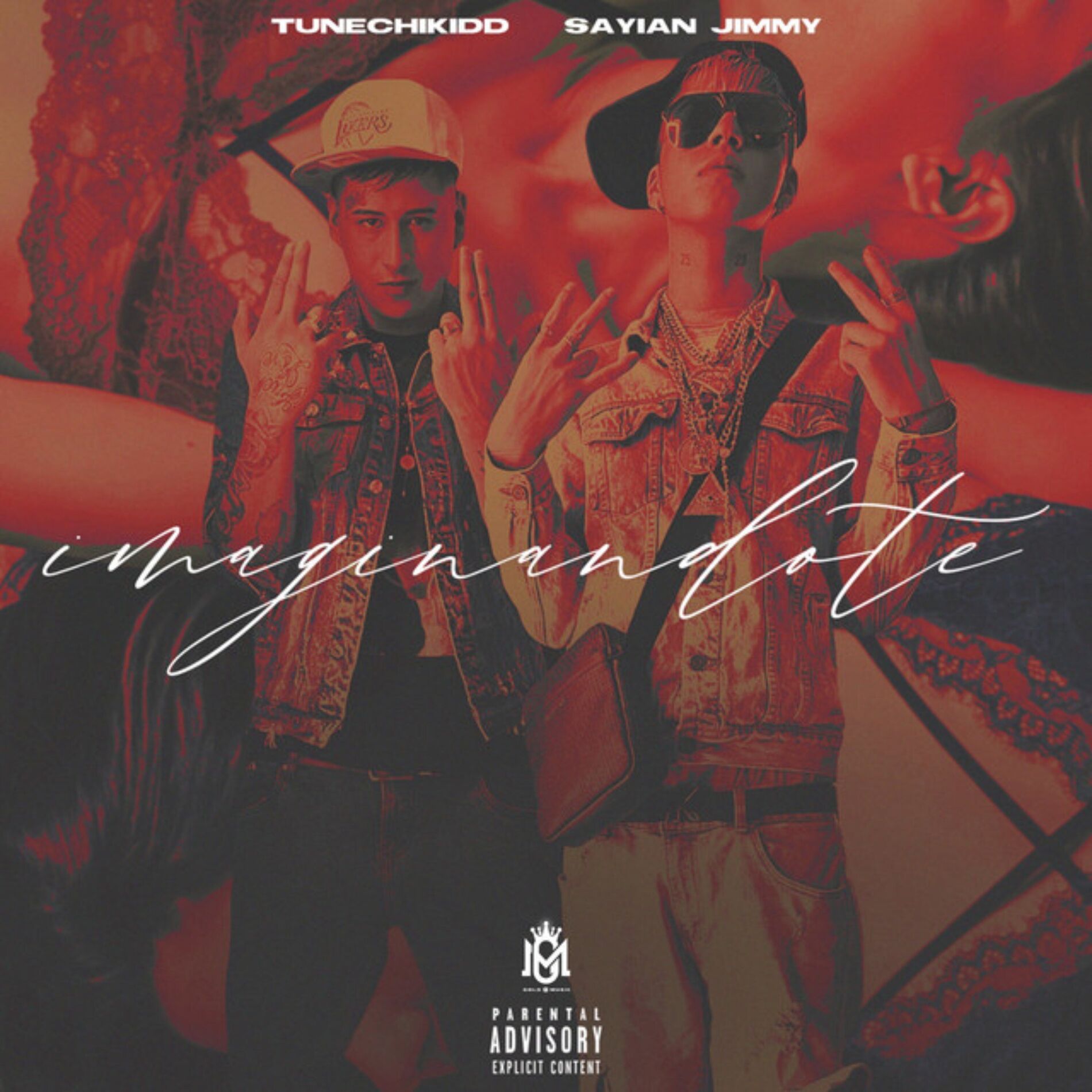 Album cover of Imaginandote