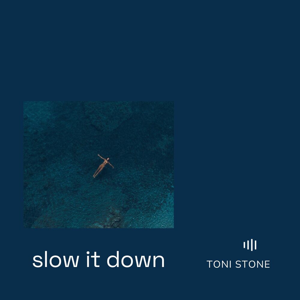 Picture of Slow It Down