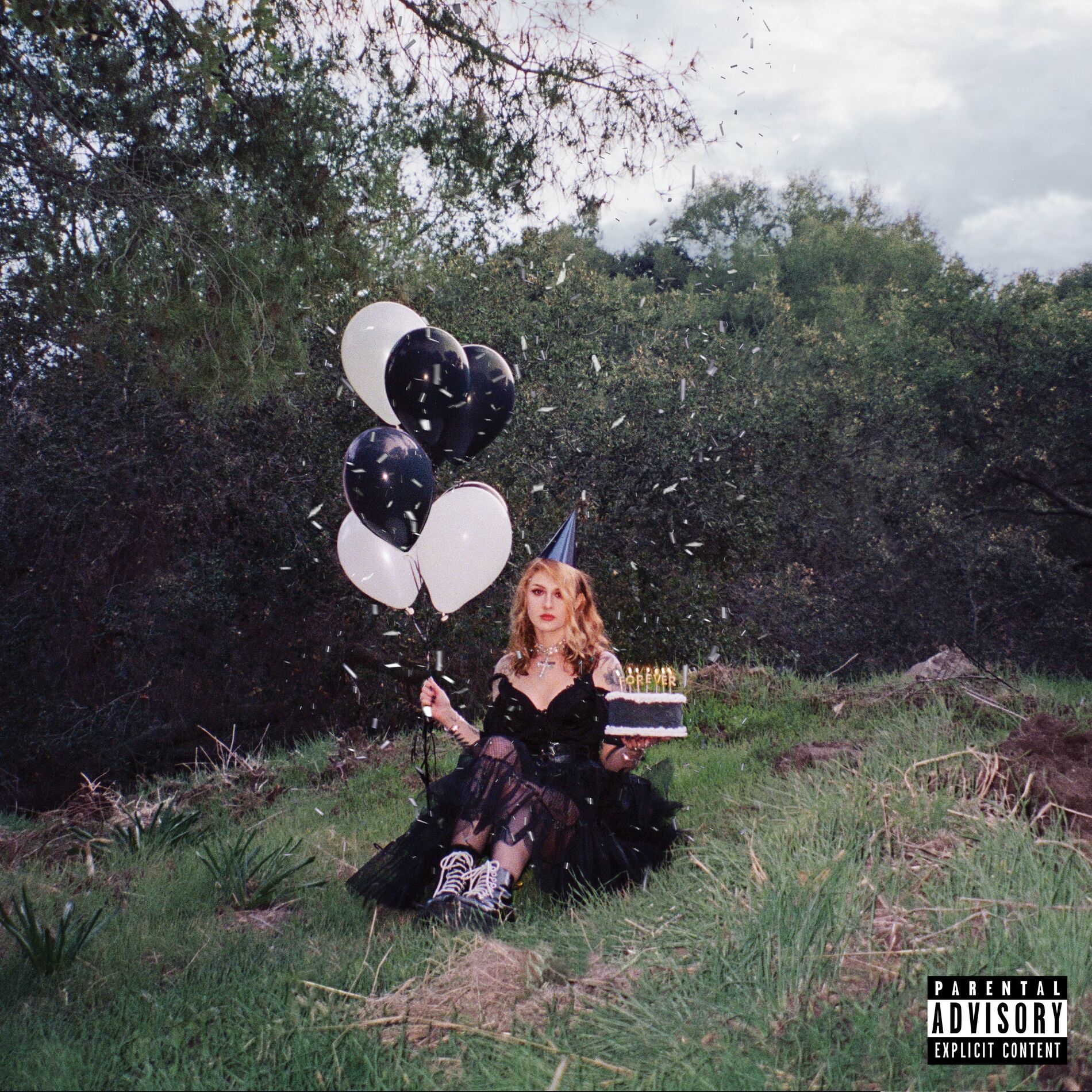 Album cover of funhouse