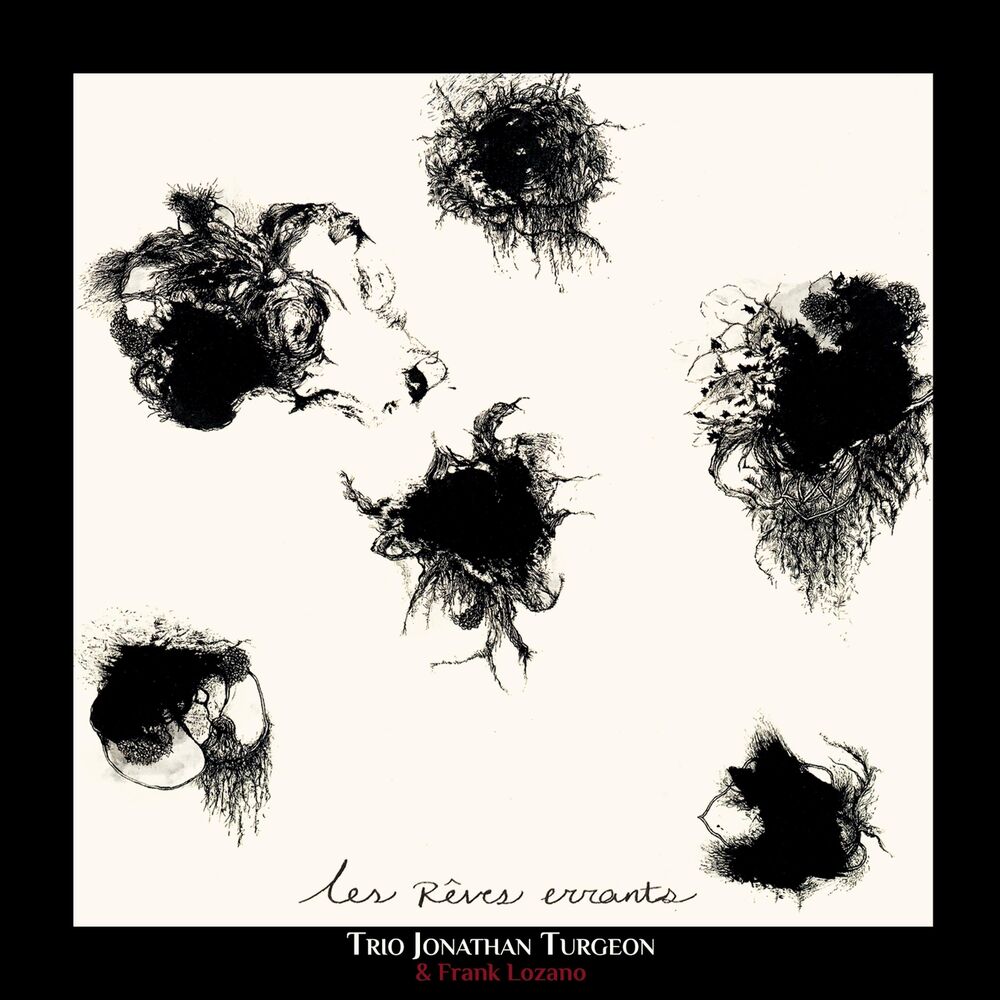 Picture of Les rêves errants
