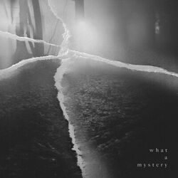 Cover of What a Mystery