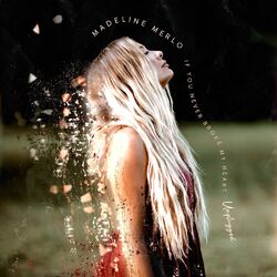 Cover of If You Never Broke My Heart (Unplugged)