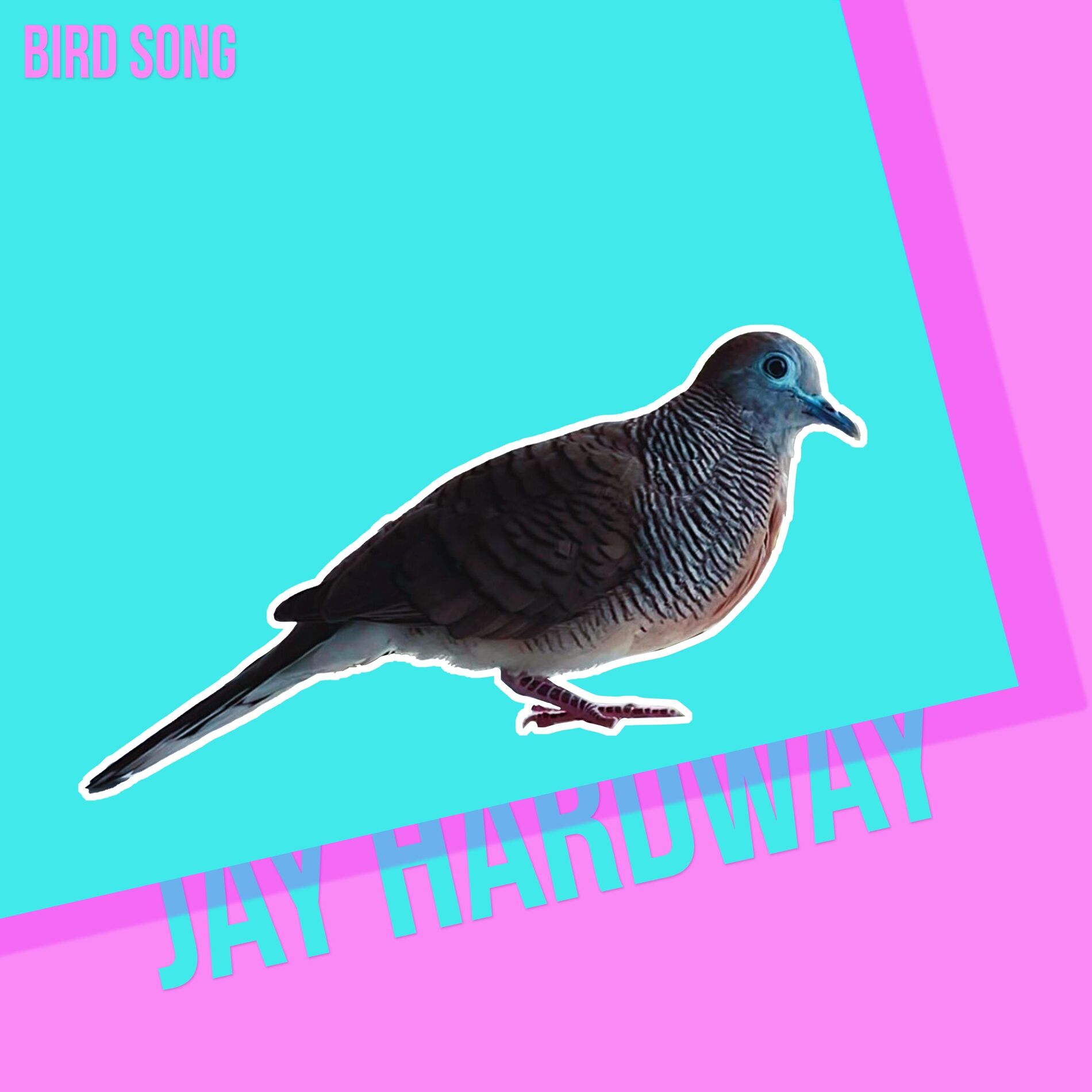 Album cover of Bird Song