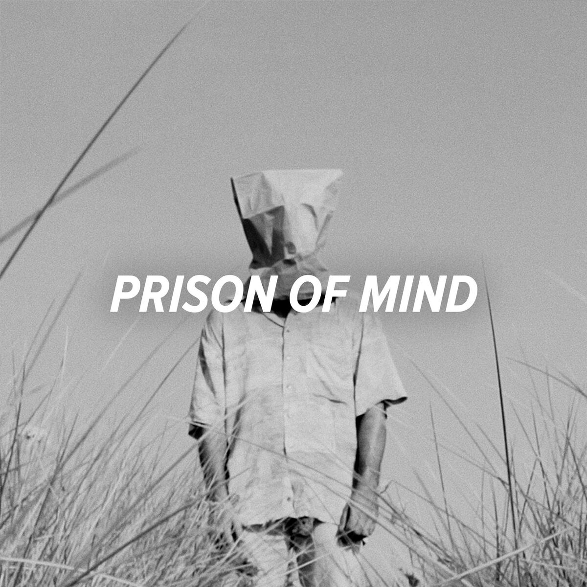 Album cover of Prison of Mind