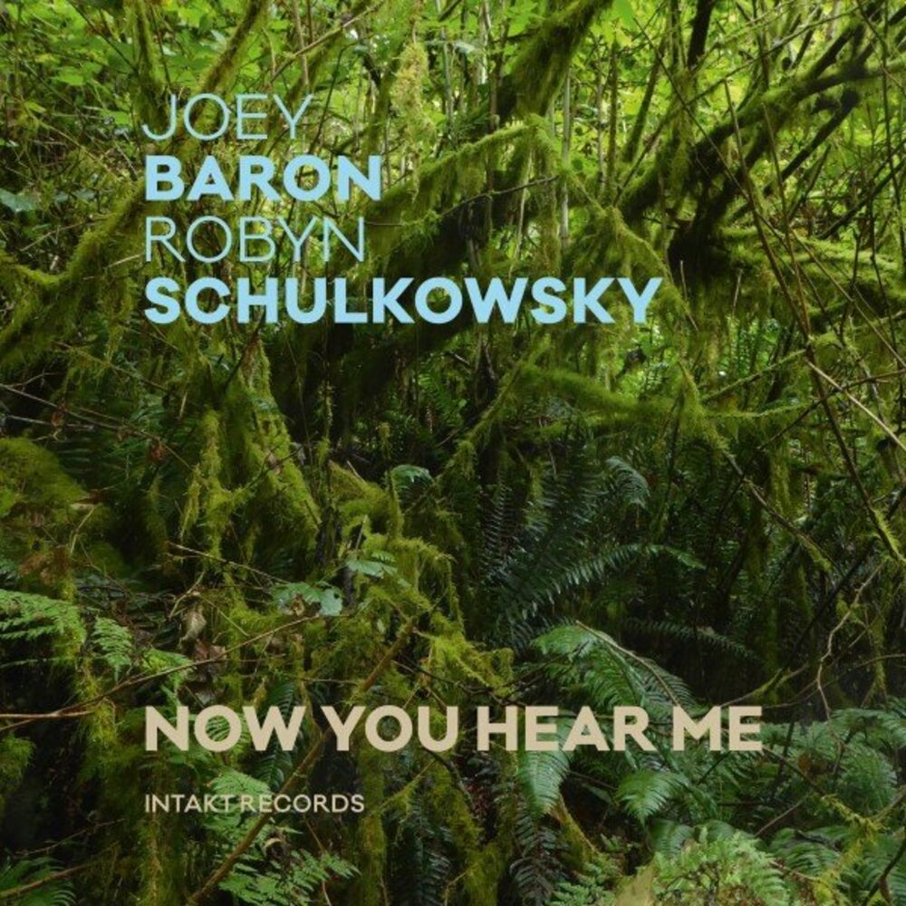 Picture of Now You Hear Me