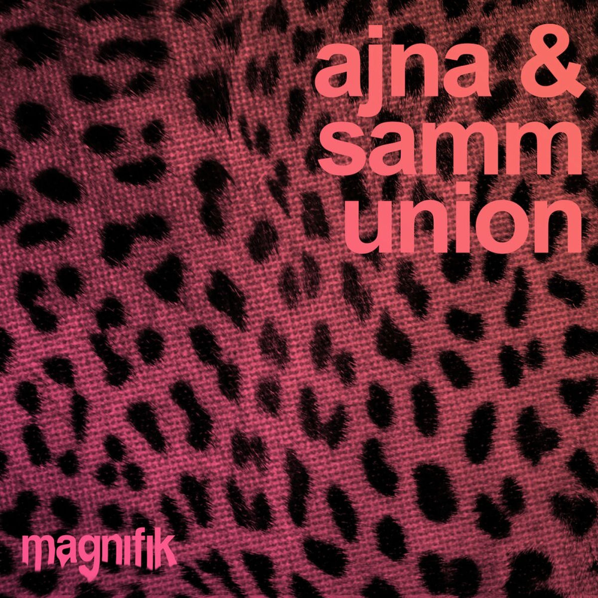Album cover of Union
