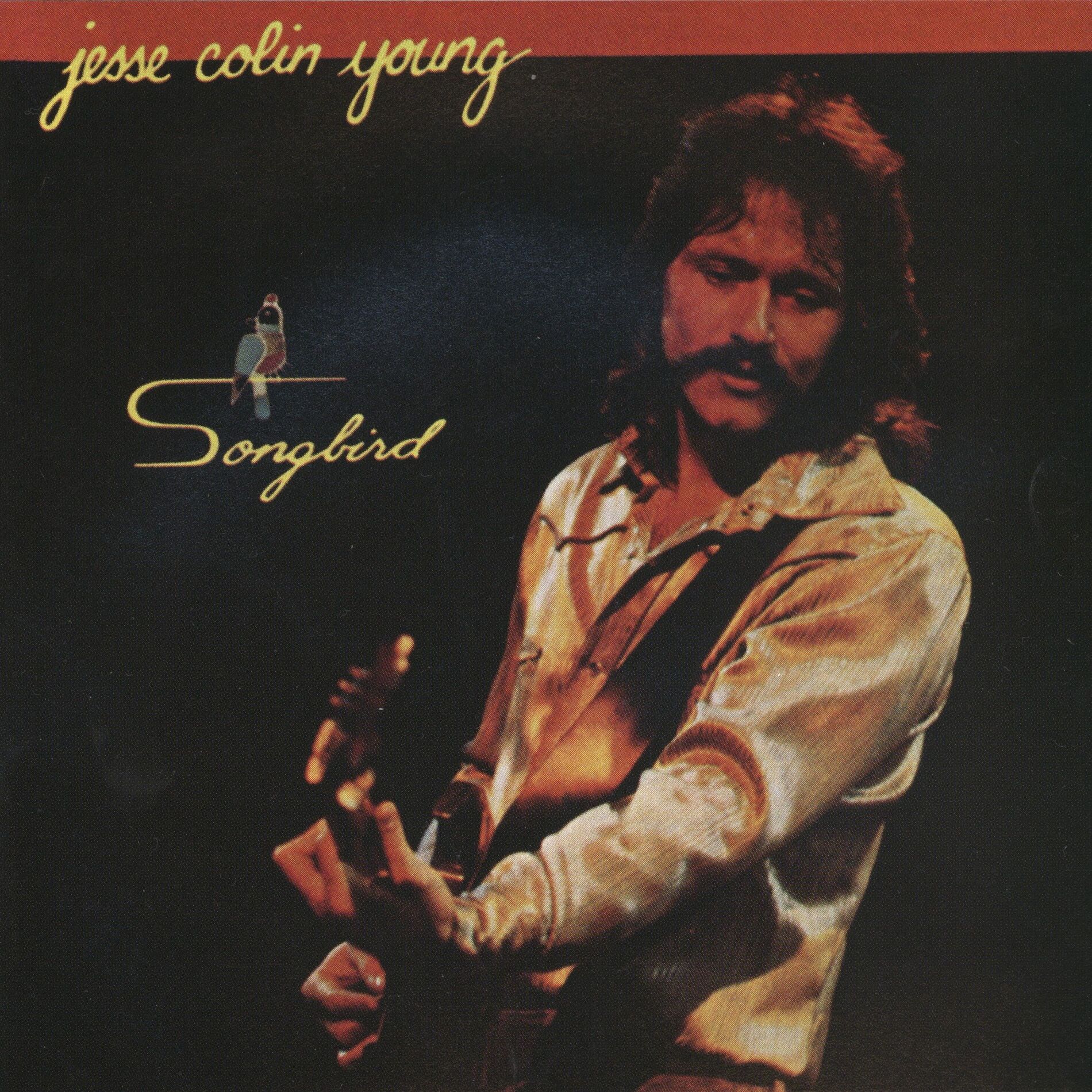 Album cover of Songbird