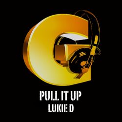 Cover of Pull It Up