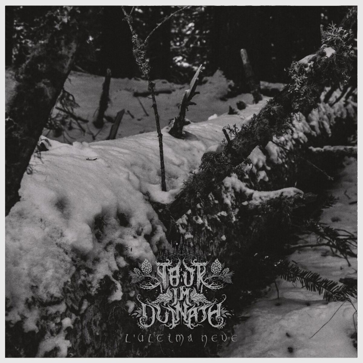 Album cover of L'Ultima Neve