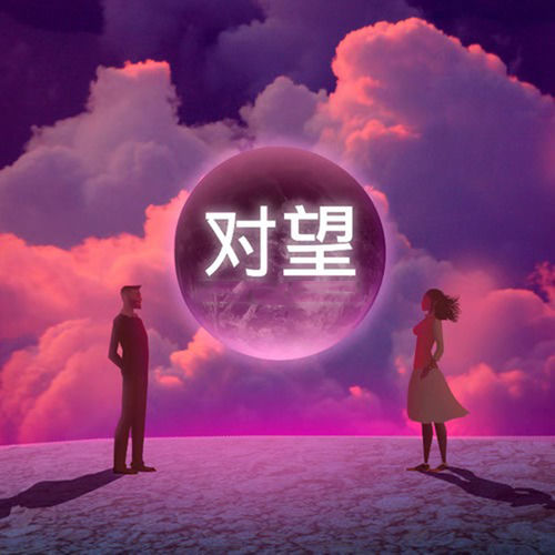对望