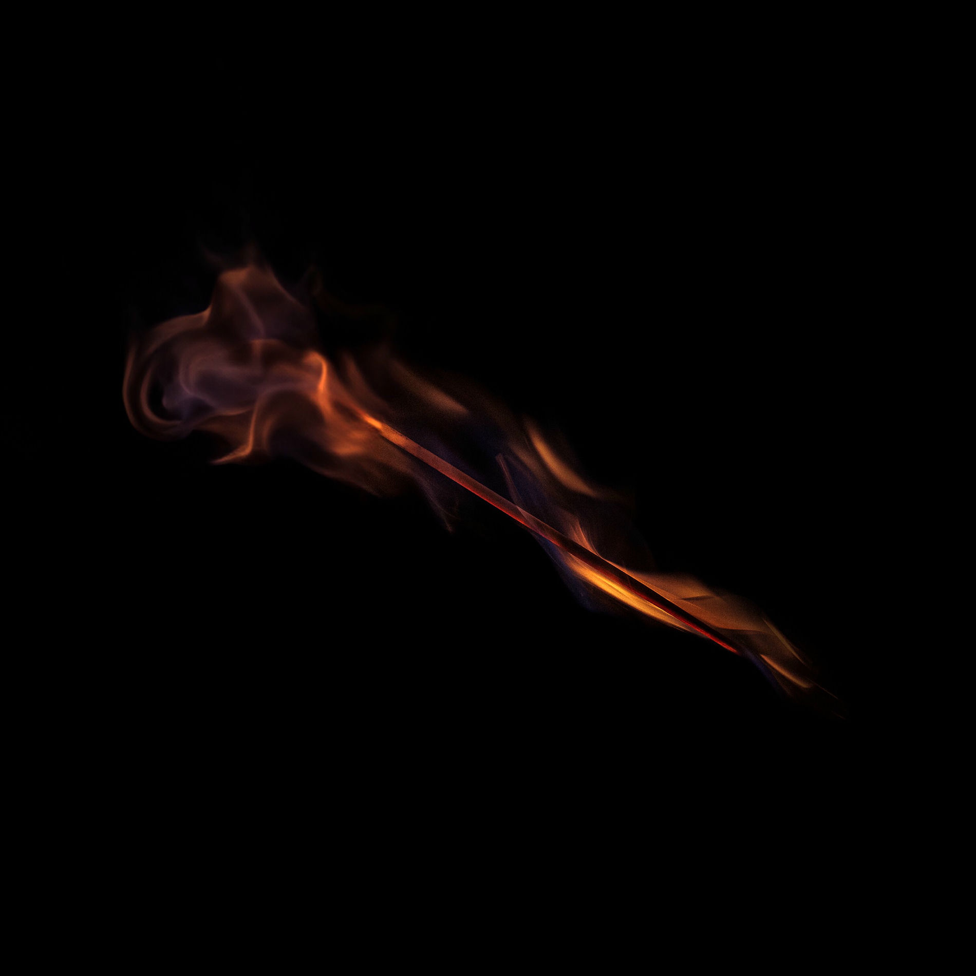 Album cover of Feveran