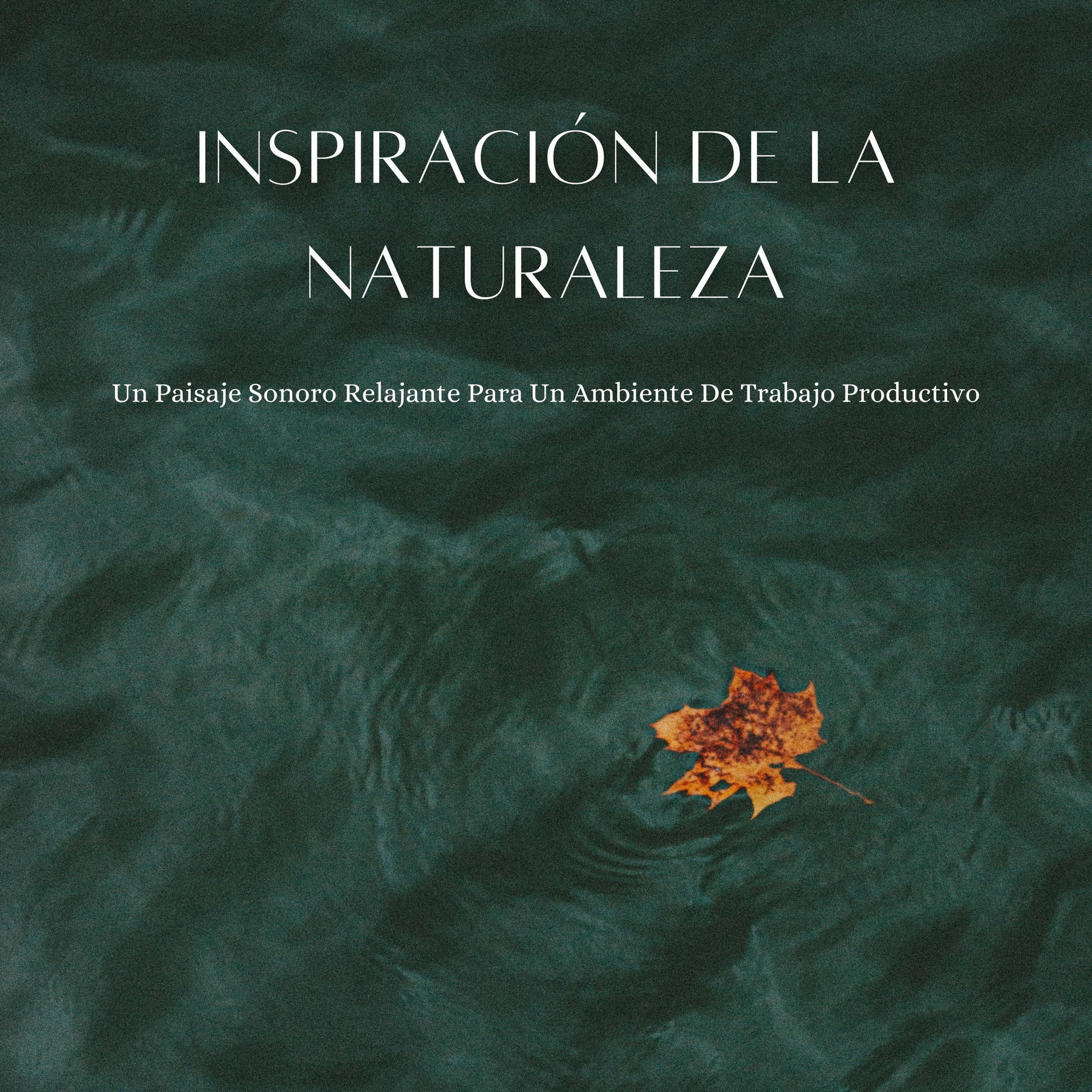 Album cover of Inspiración De La Naturaleza: Un Paisaje Sonoro Relajante Para Un Ambiente De Trabajo Productivo