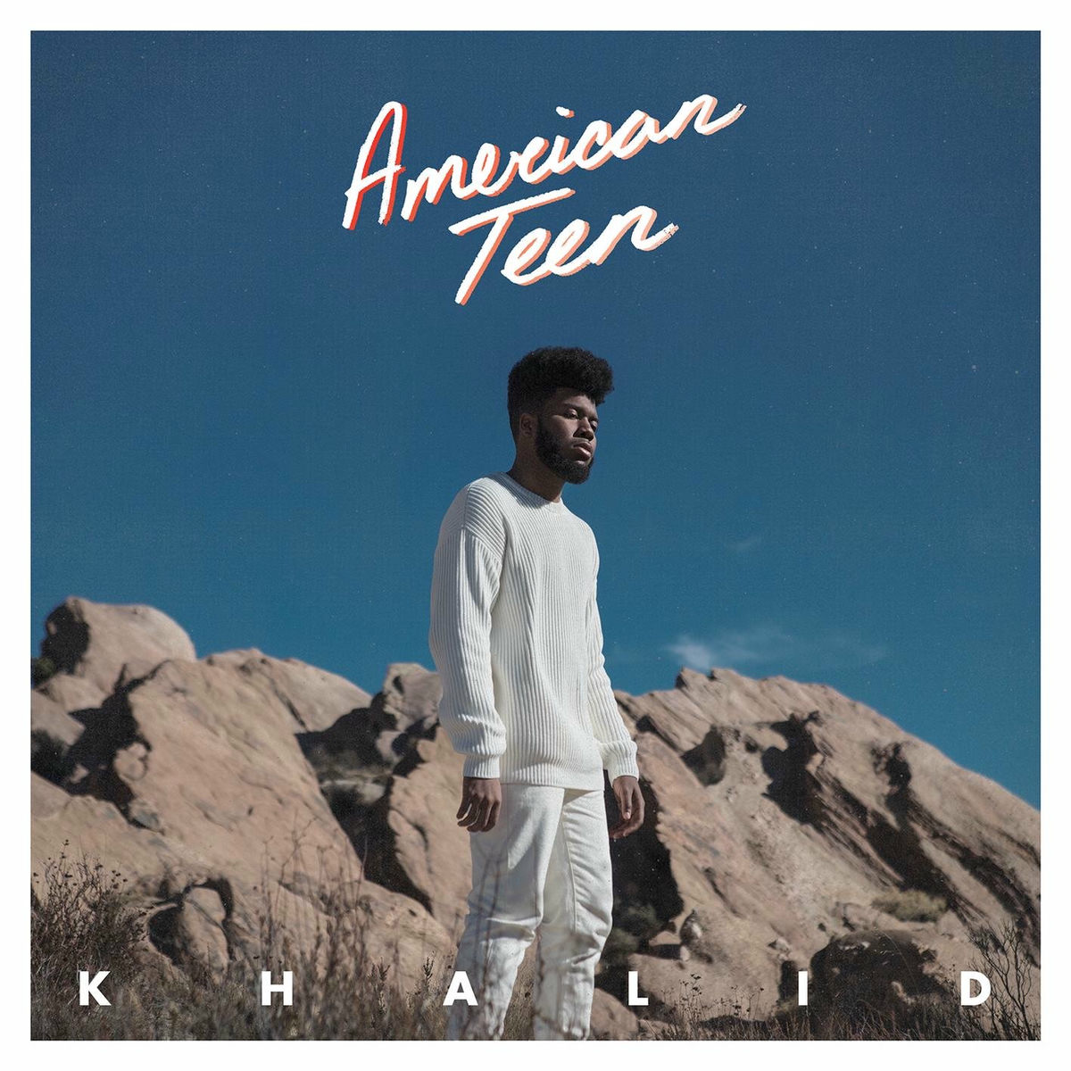 Album picture of American Teen
