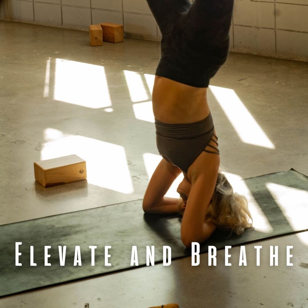 Picture of Elevate and Breathe: Ambient Music for Yoga Balance