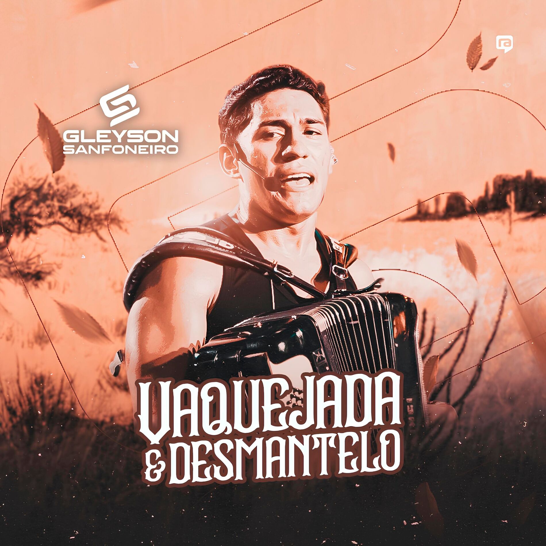 Album cover of Vaquejada E Desmantelo