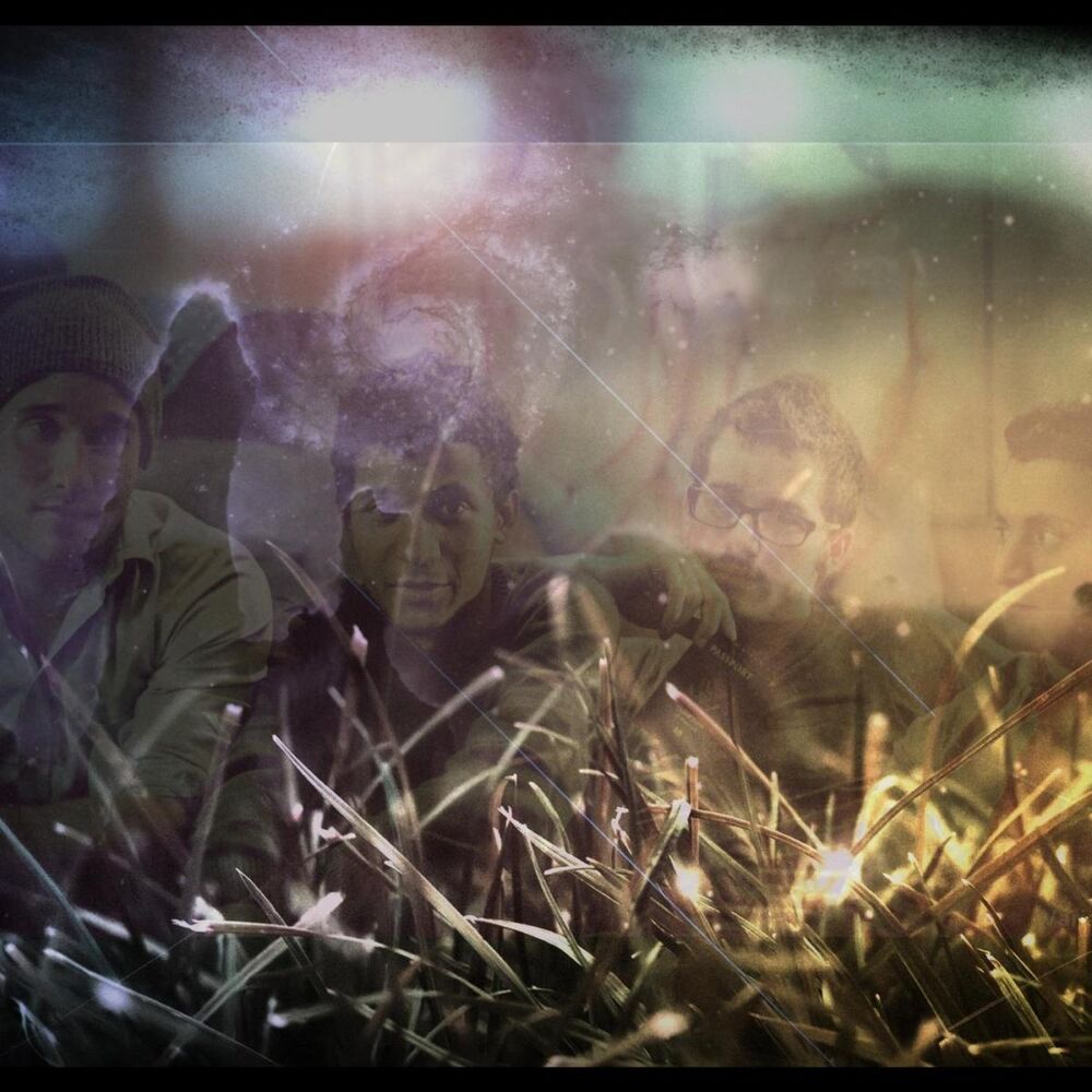 Picture of Blades of Grass