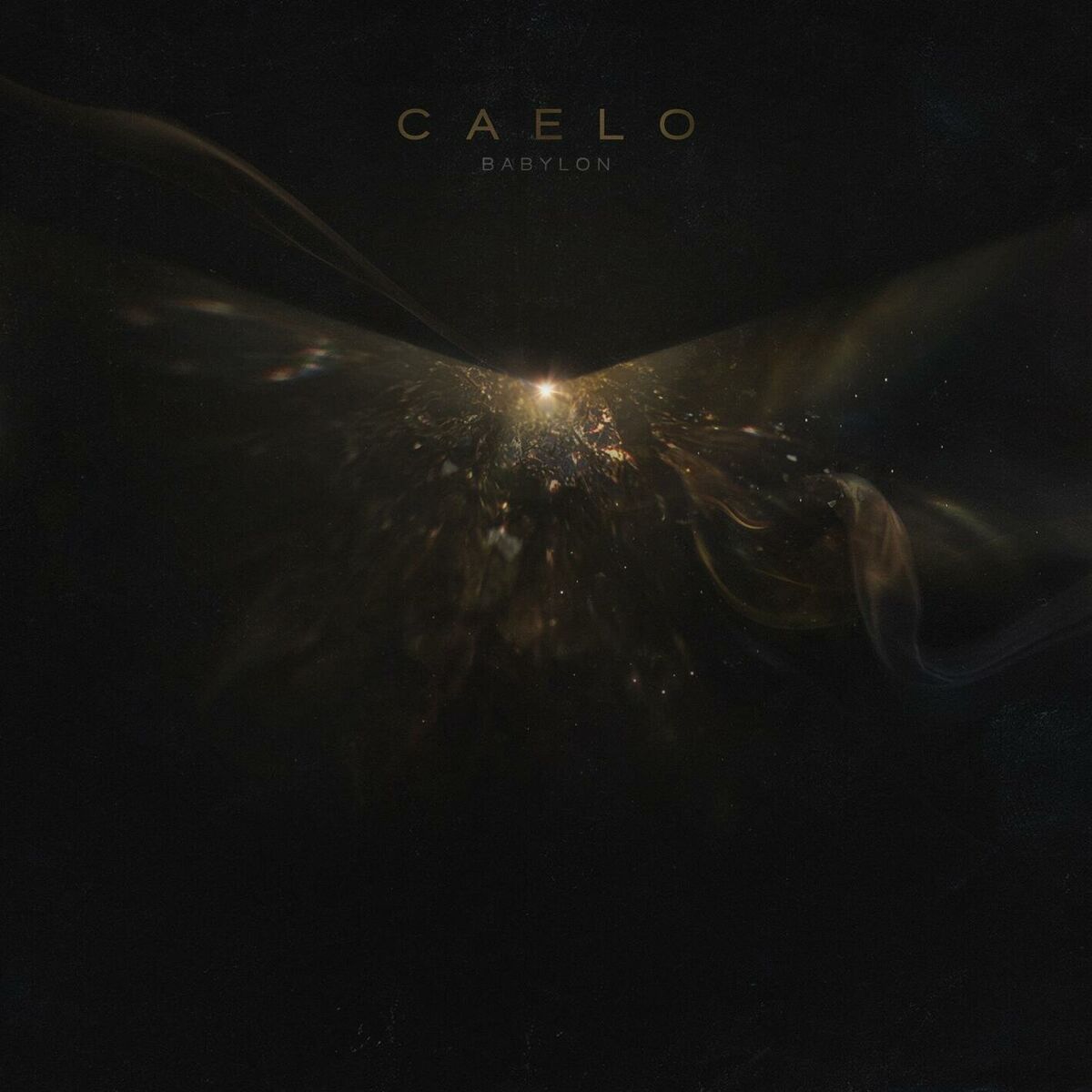 Album cover of CAELO