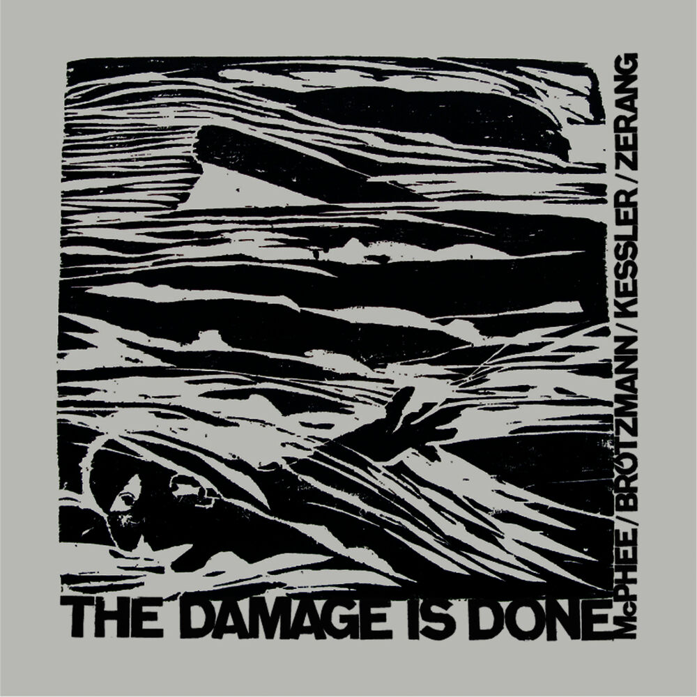 Picture of The Damage Is Done