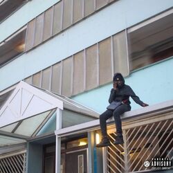 Cover of Winter Meds