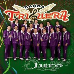 Cover of Juro (Edited) (Banda)