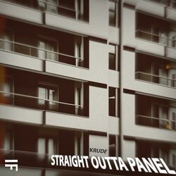 Cover of STRAIGHT OUTTA PANEL