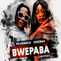 Cover of Bwepaba